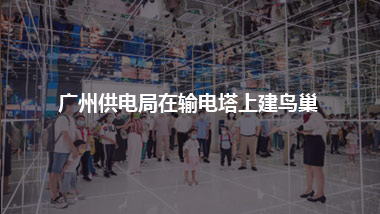 廣州供電局 在輸電塔上建鳥巢